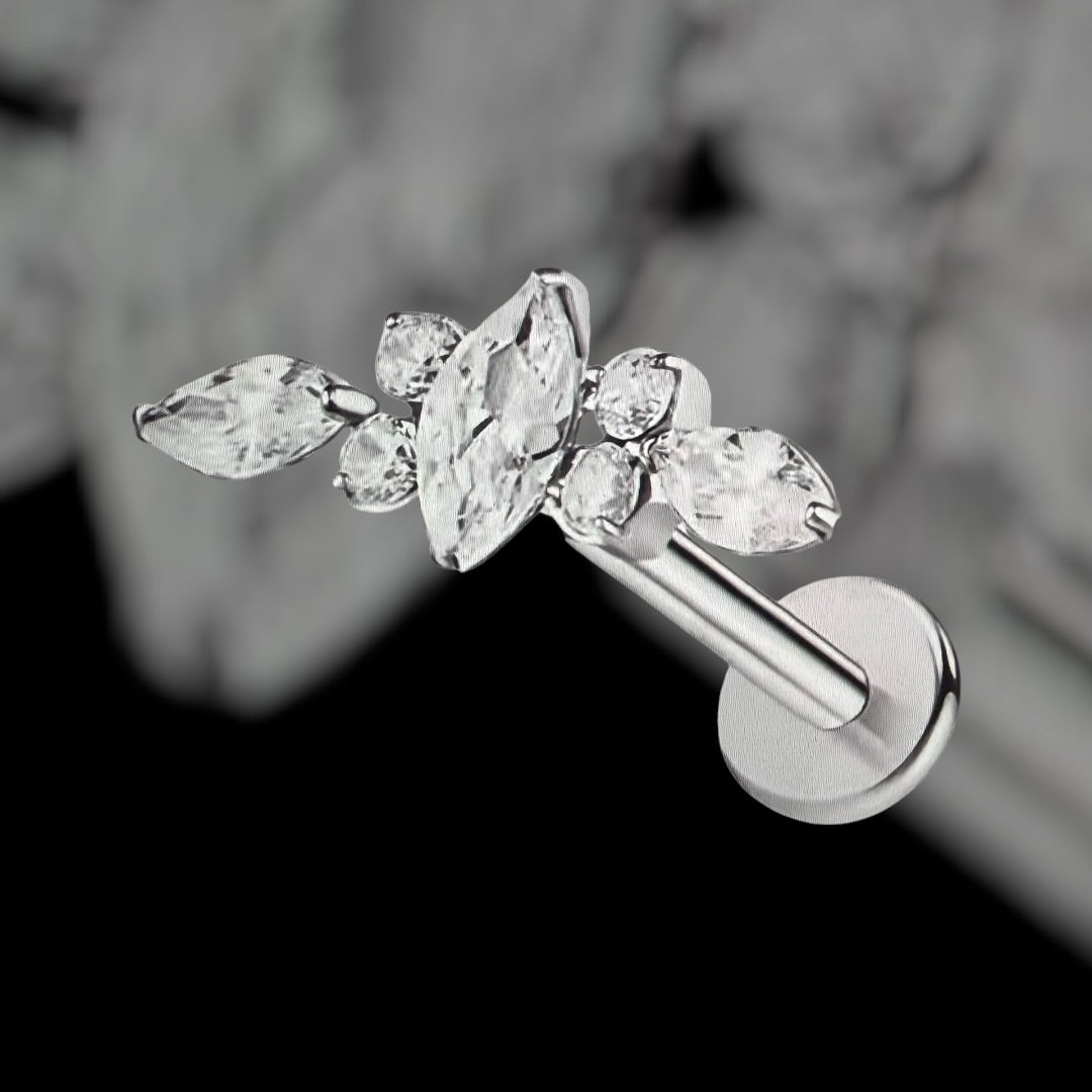 Labret Confin