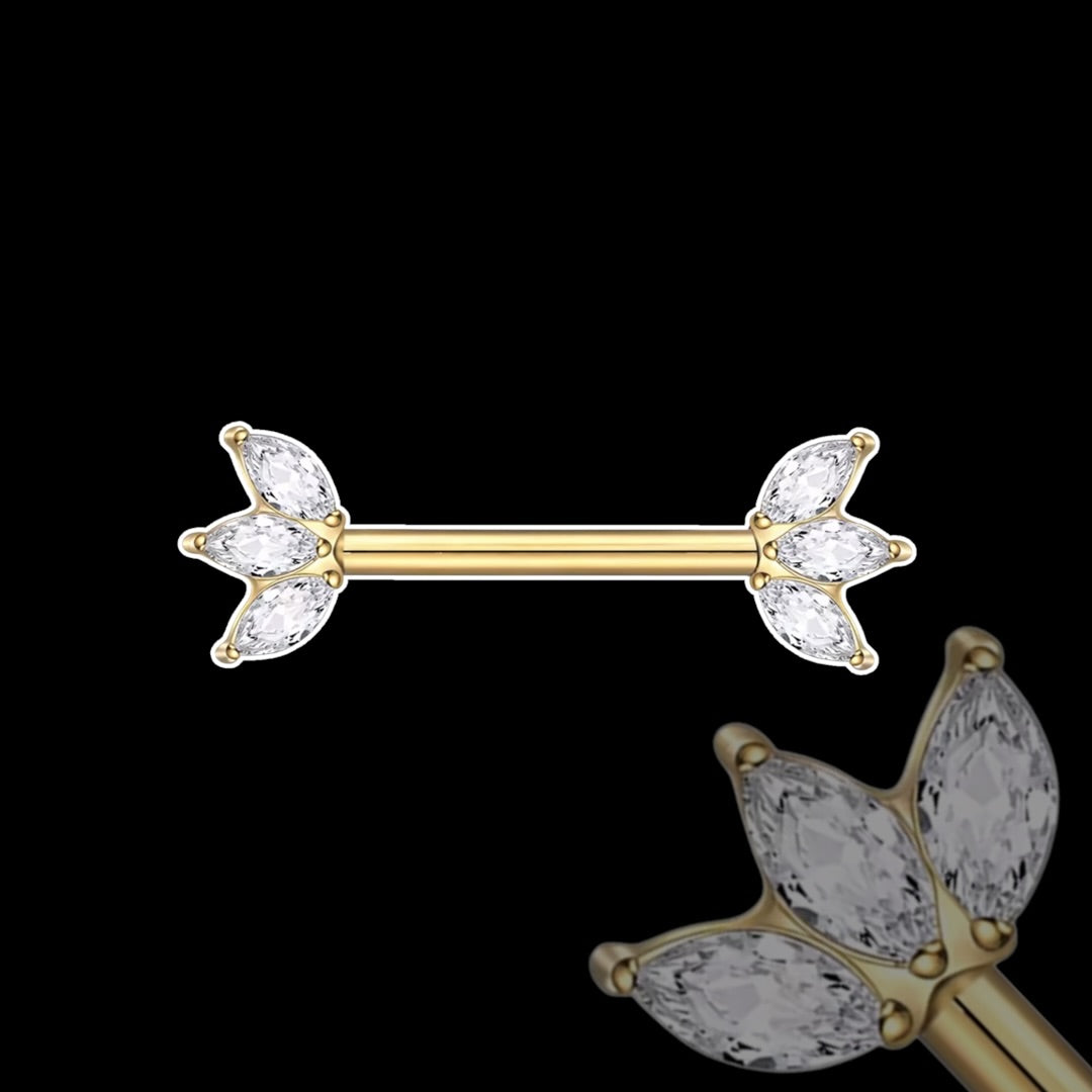 Barre Téton Lily