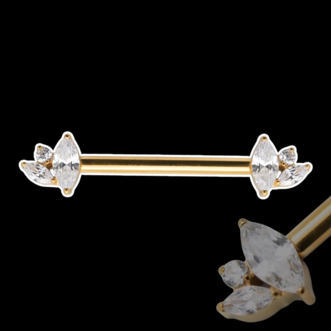 Barre Téton Olya