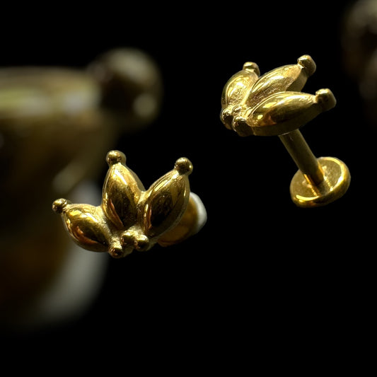 bijoux piercing labret sans strass titane costeel jewelry marquise oreille gold